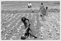 Sustainable Livelihood CSR Project of Axis Bank Foundation